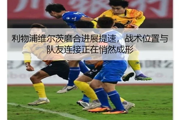 img_1783318529670_181_2_903.jpg